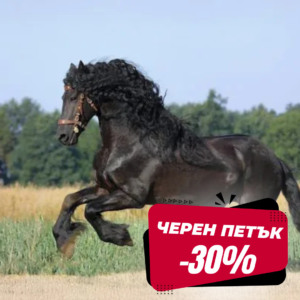 ЧЕРЕН ПЕТЪК ДО -51%