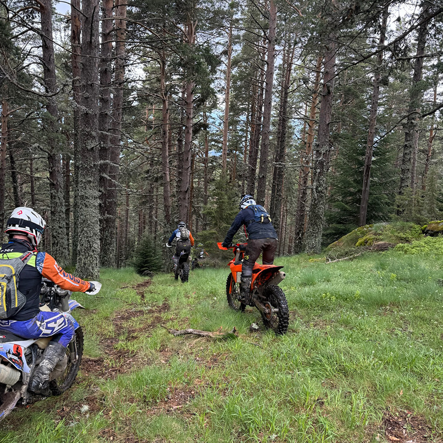 Офроуд терени