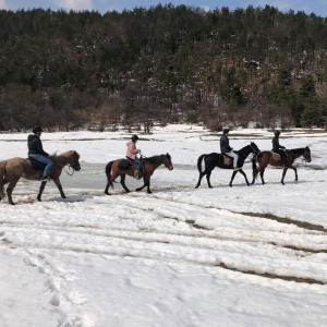 Зимна приказка с езда