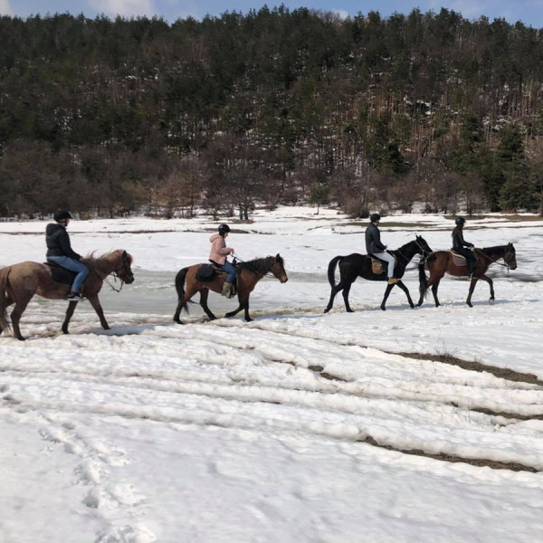 zimna-razhodka-kone-rancho-avrora-svoge
