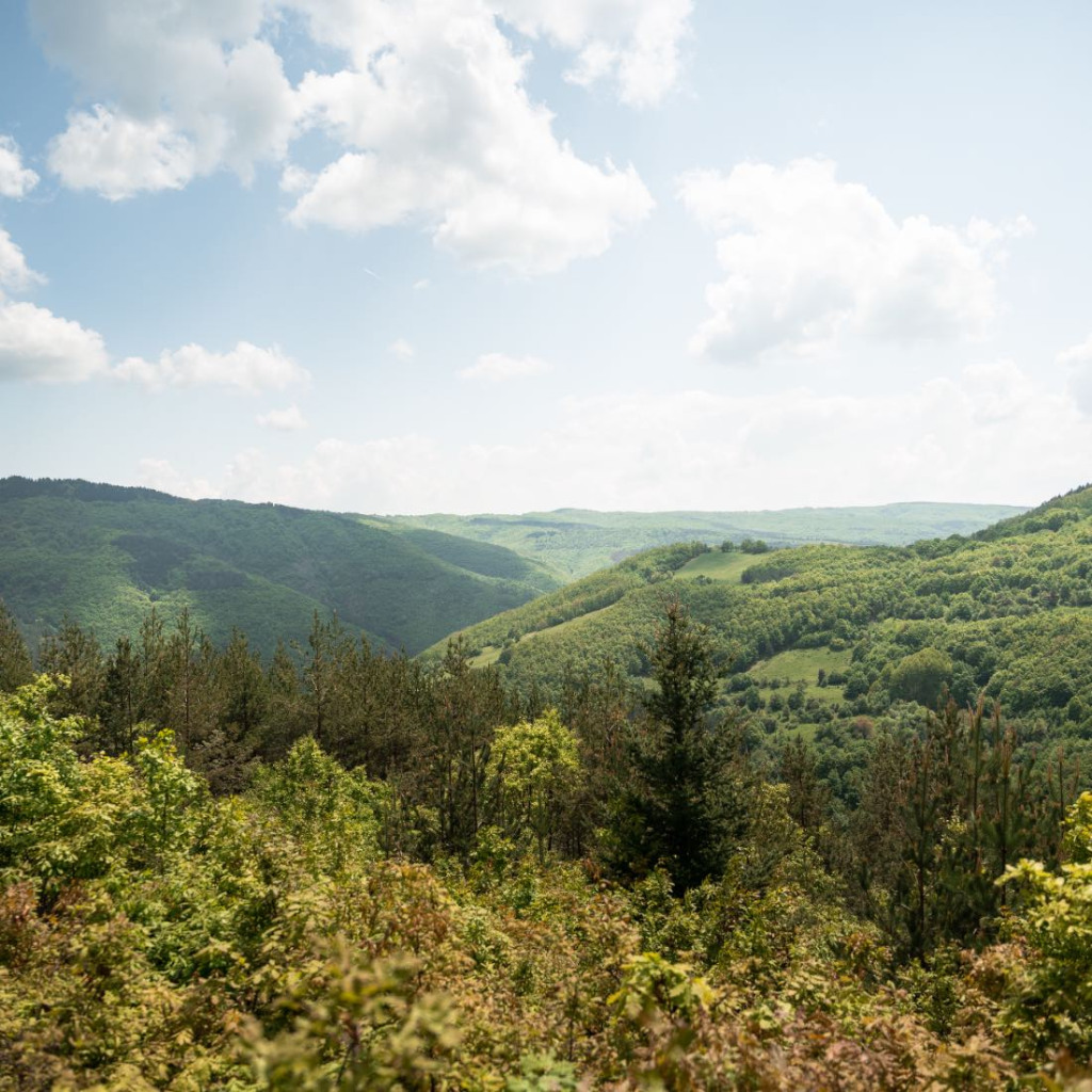 Панорамни гледки