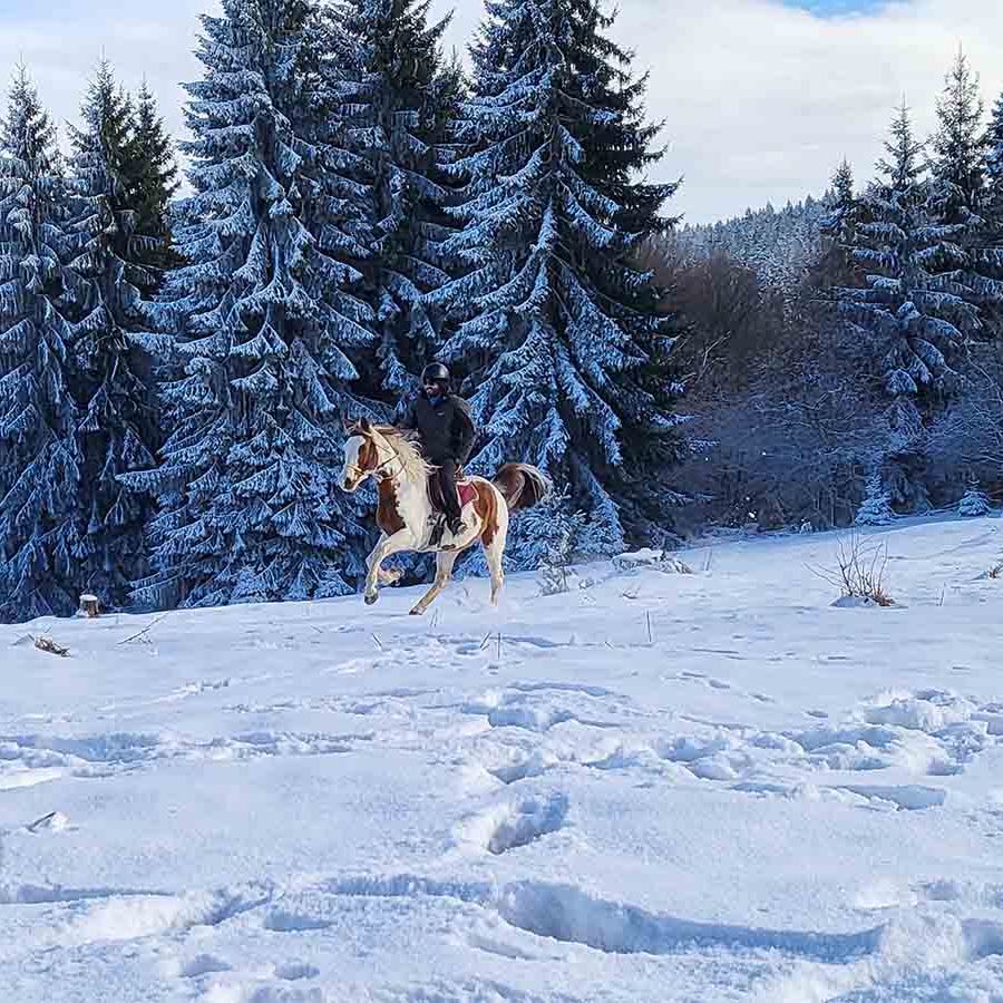 Езда с нощувка в Боровец