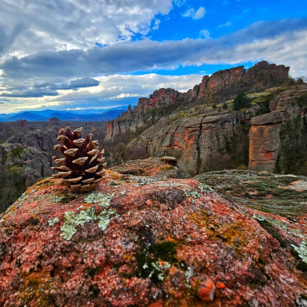 prikljuchenski-piknik-belogradchik