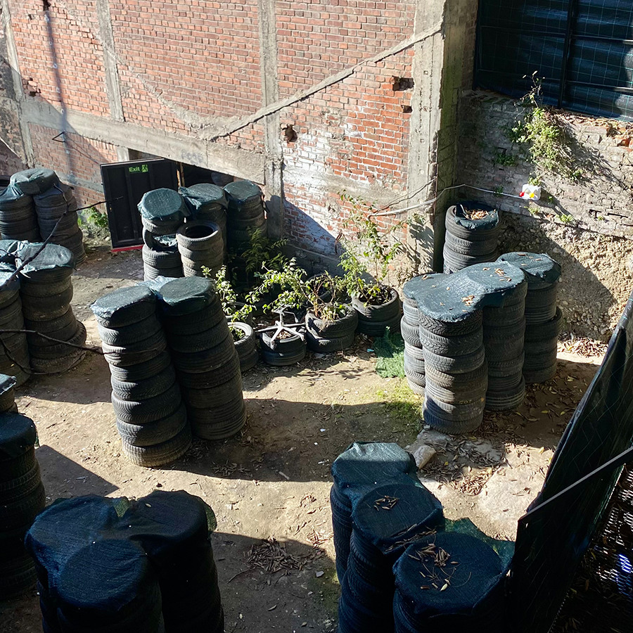 Екшън в реално време