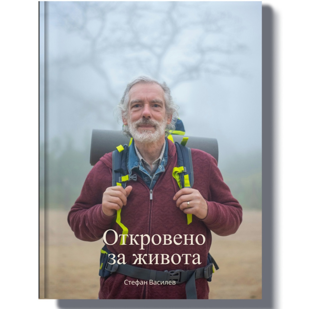 Спомени в книга