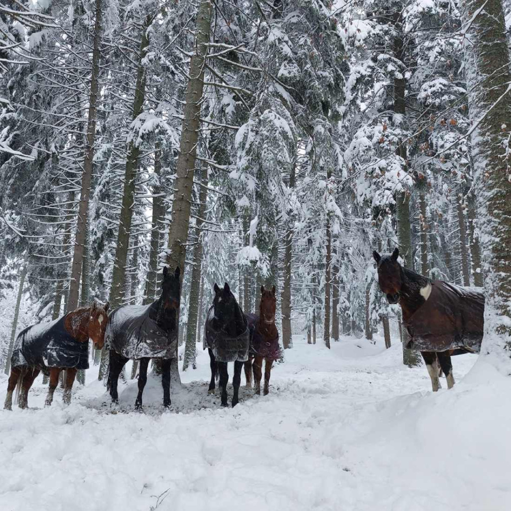 През всеки сезон