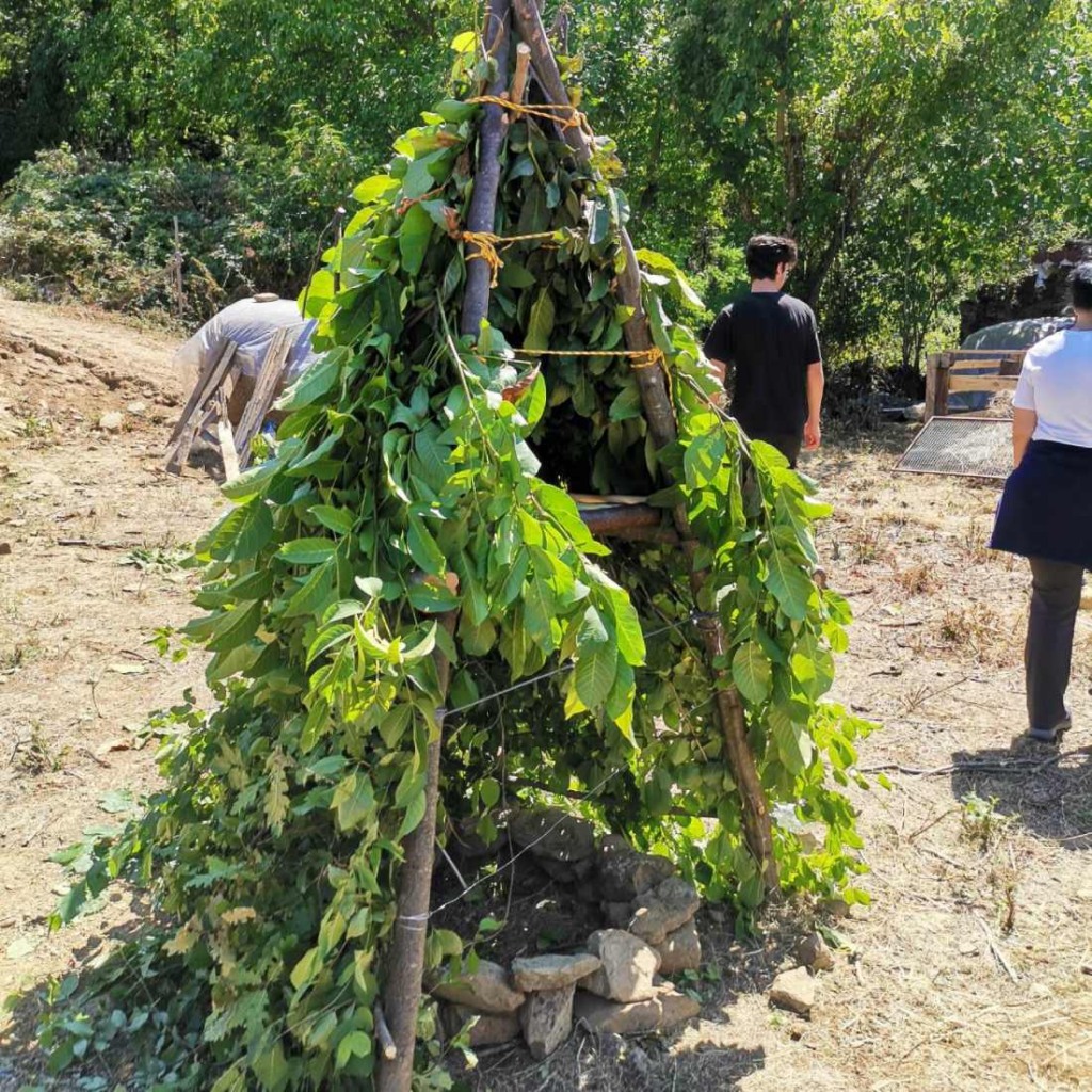 Знания от древността