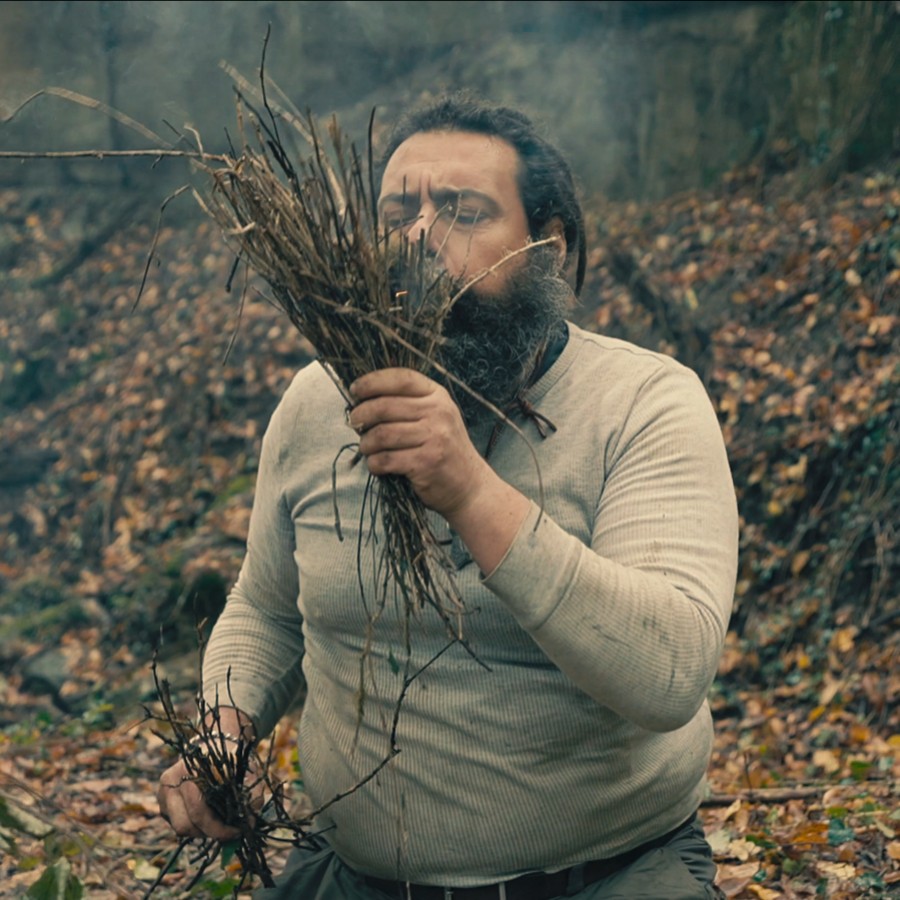 Върни се към корените