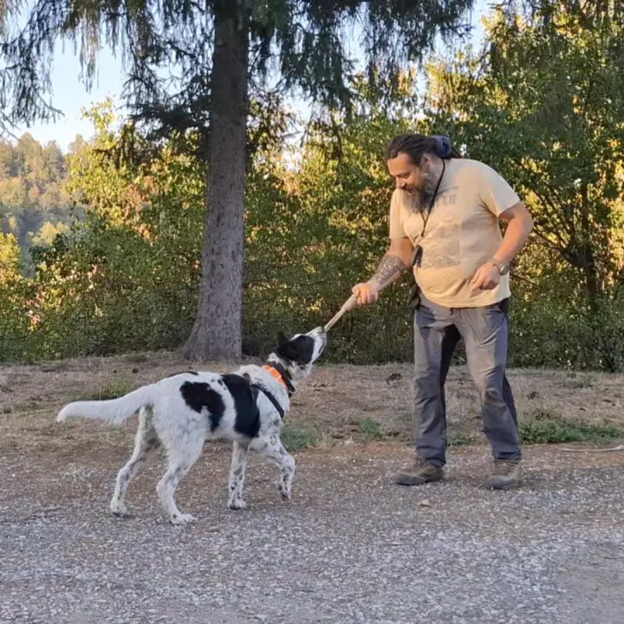 Обучение на куче