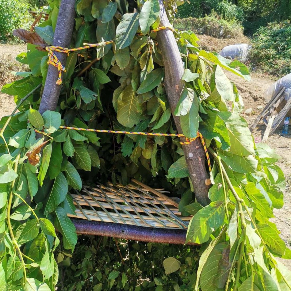 Назад към природата