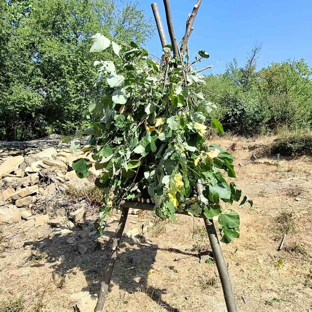 Направи подслон