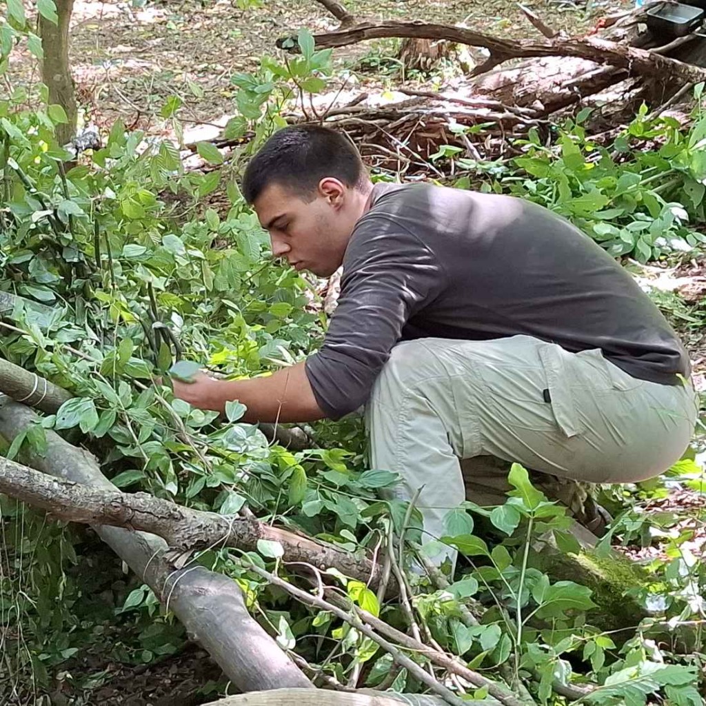 Нови умения