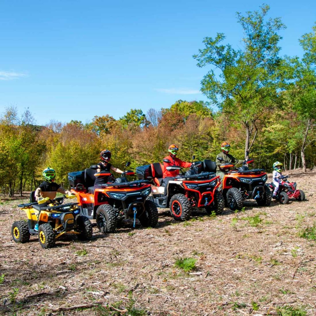 За семейство или компания