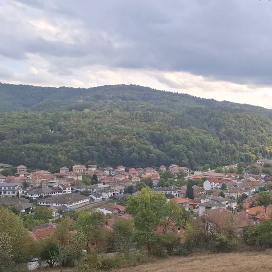 История и природа