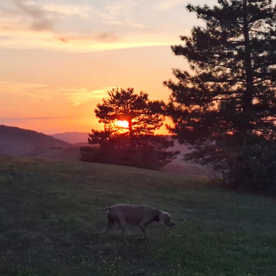 Виж красотата на Стара планина