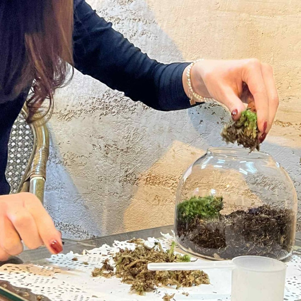 Сътвори красота