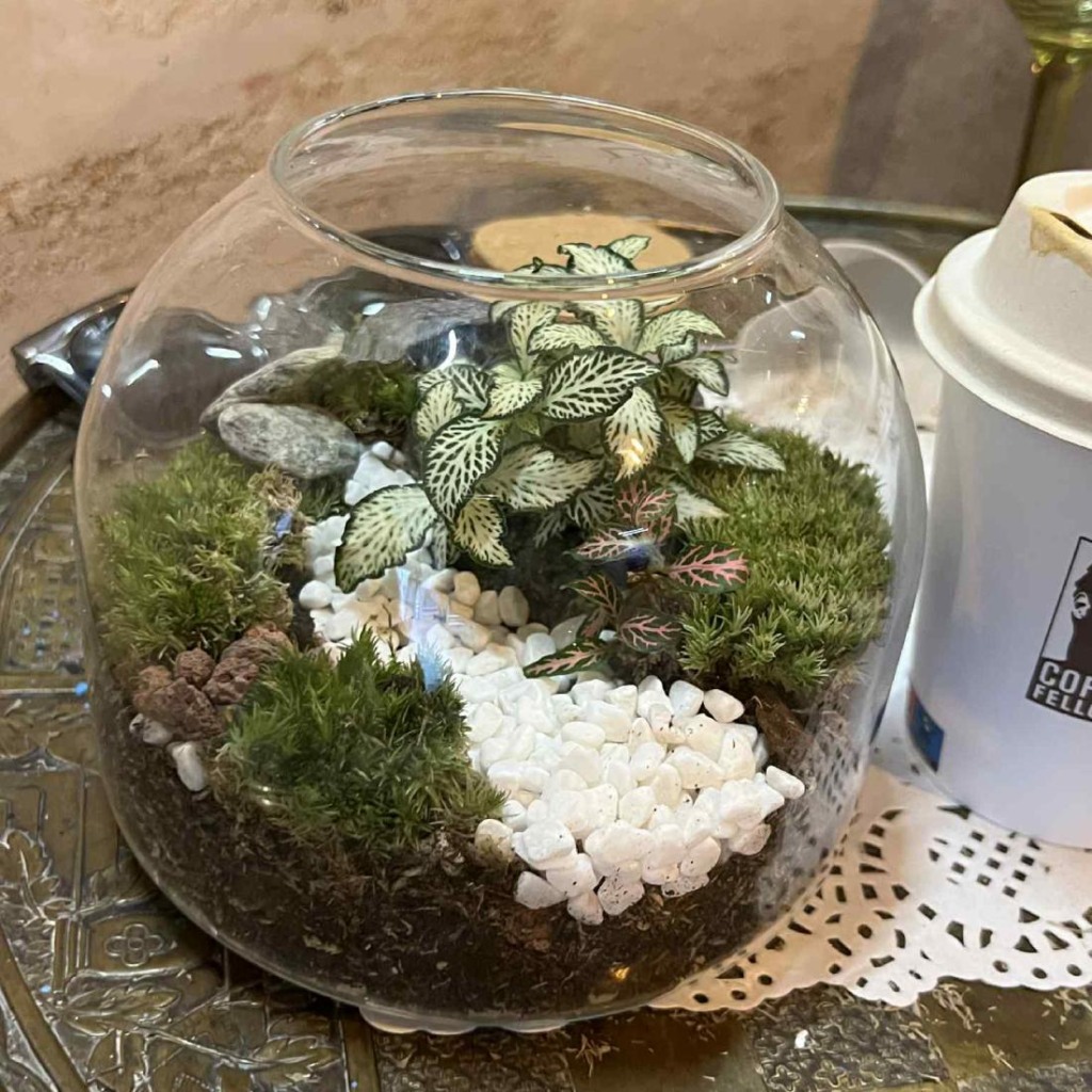 Мини екосистема