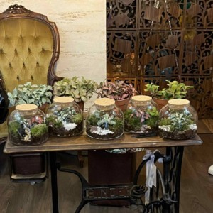 Направи си терариум