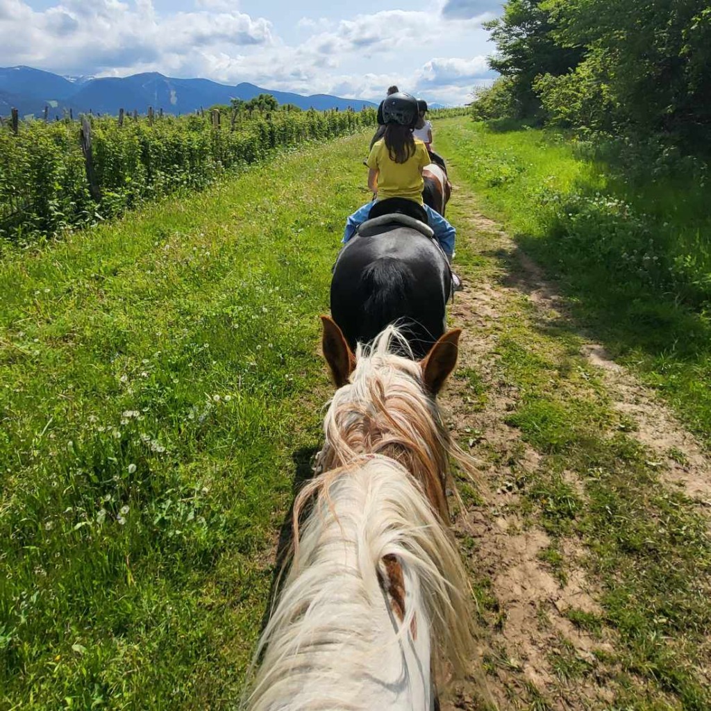 Подари преживяване