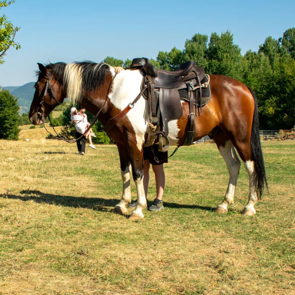 Снимки като от приказка