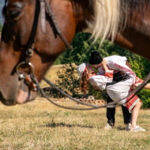 Фотосесия с коне