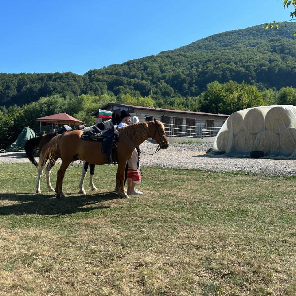 Коне и носии