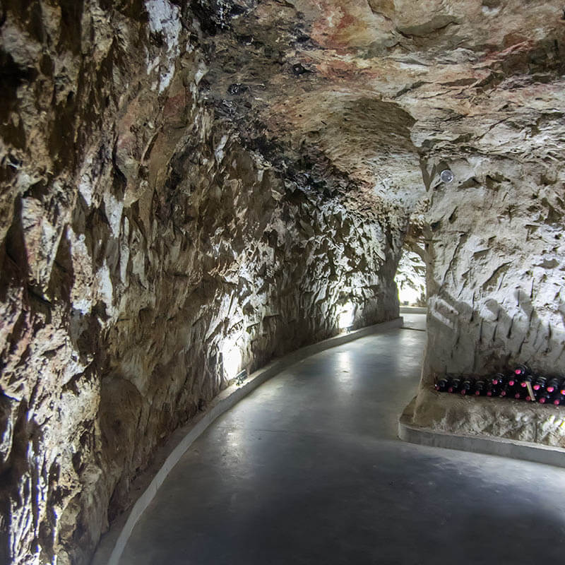 Разходка и беседа