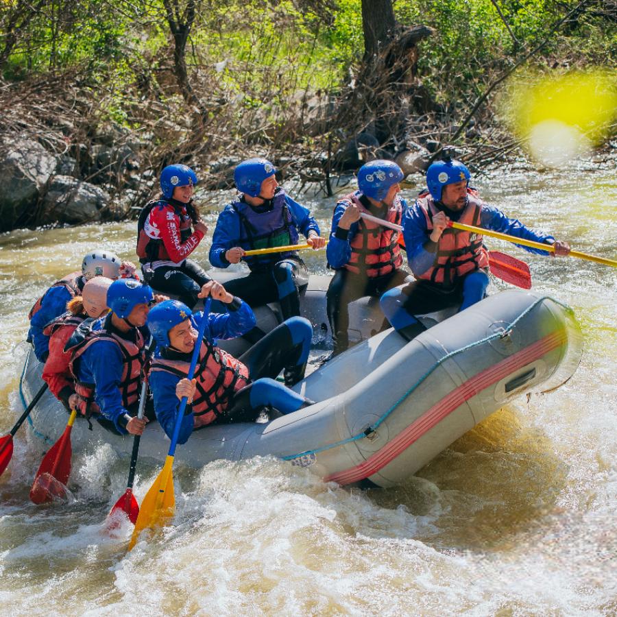 Подари емоция