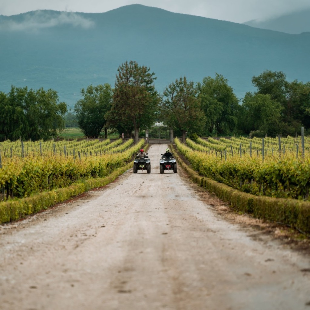 Край с. Устина