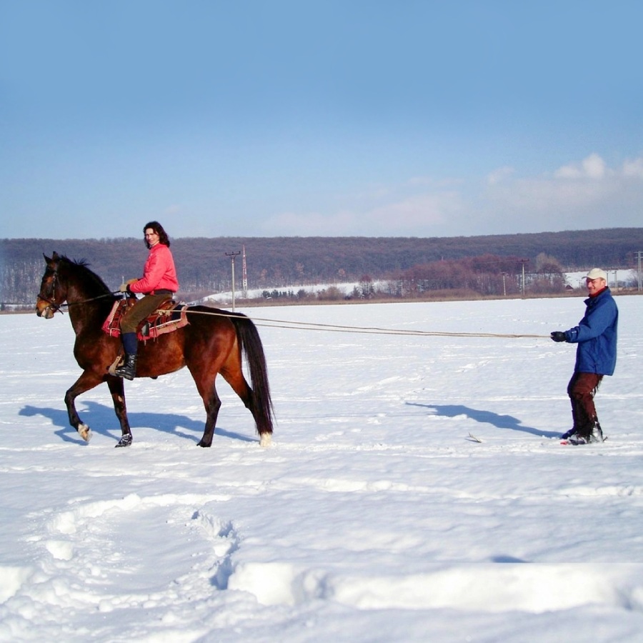Усети зимата
