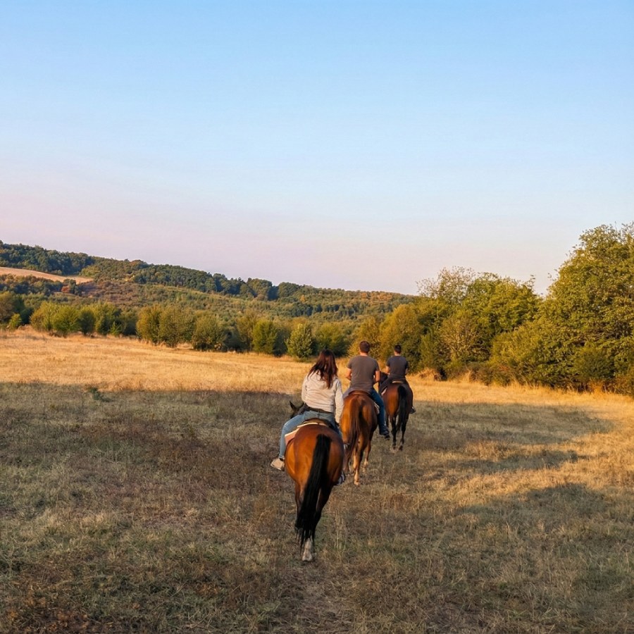 С опитен инструктор