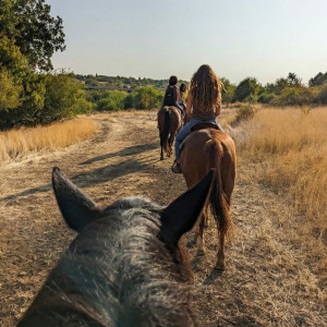 Езда в Кърпачево