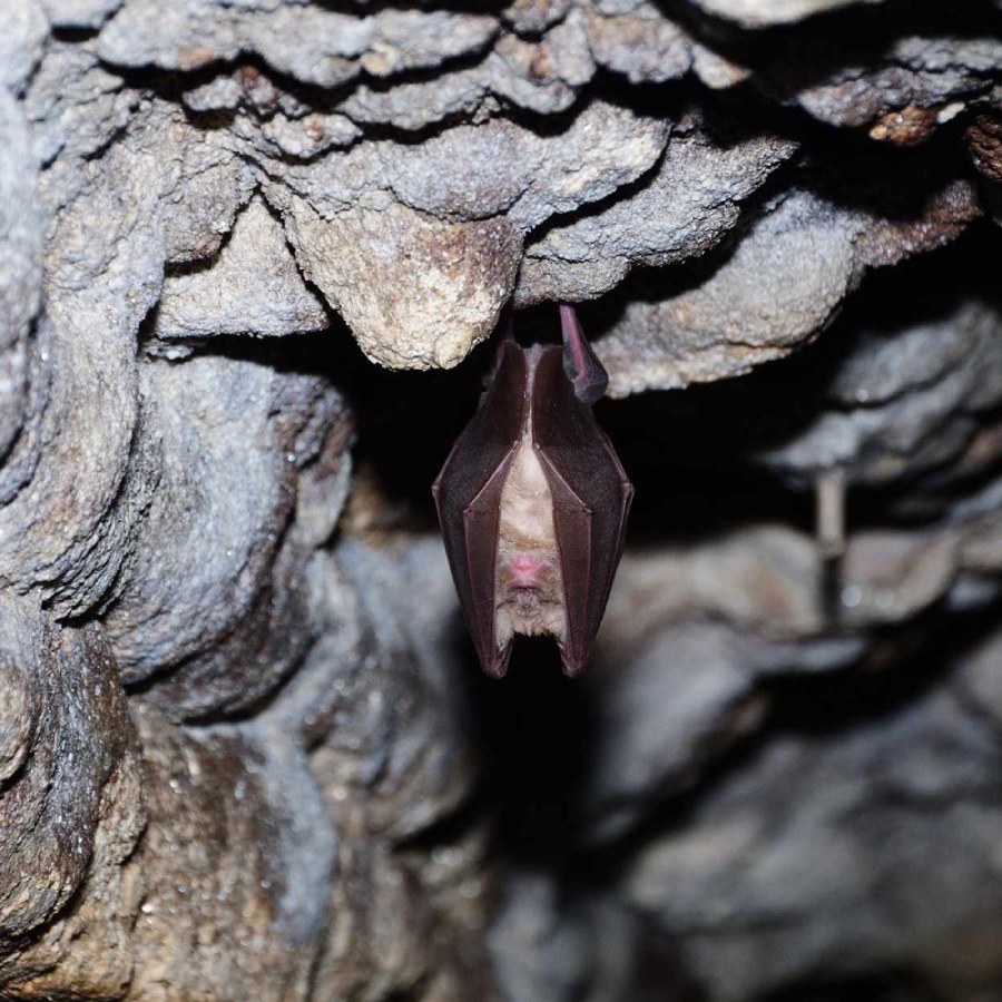 Изследвай подземните чудеса