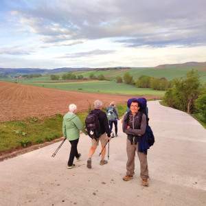 На лов за гъби