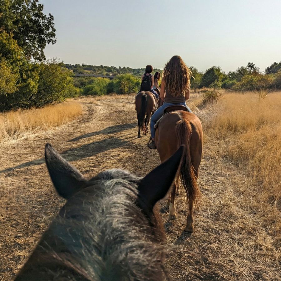 Опитай нещо ново