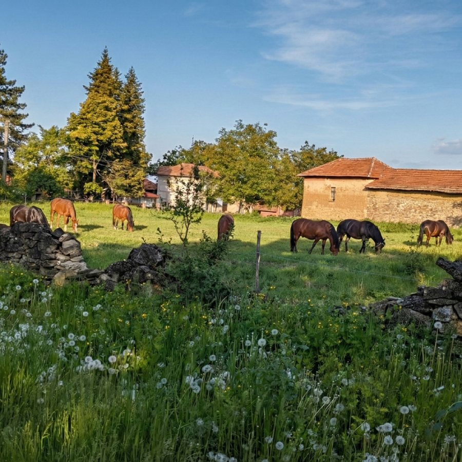 Тишина и спокойствие