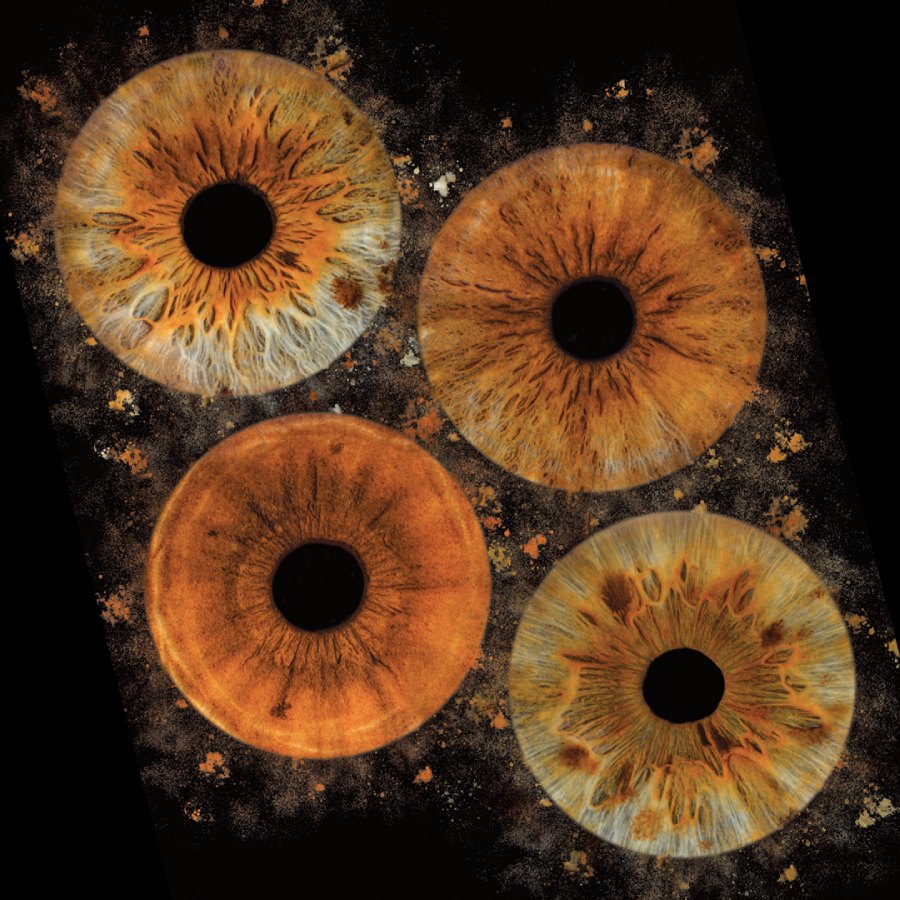 Превърни в изкуство