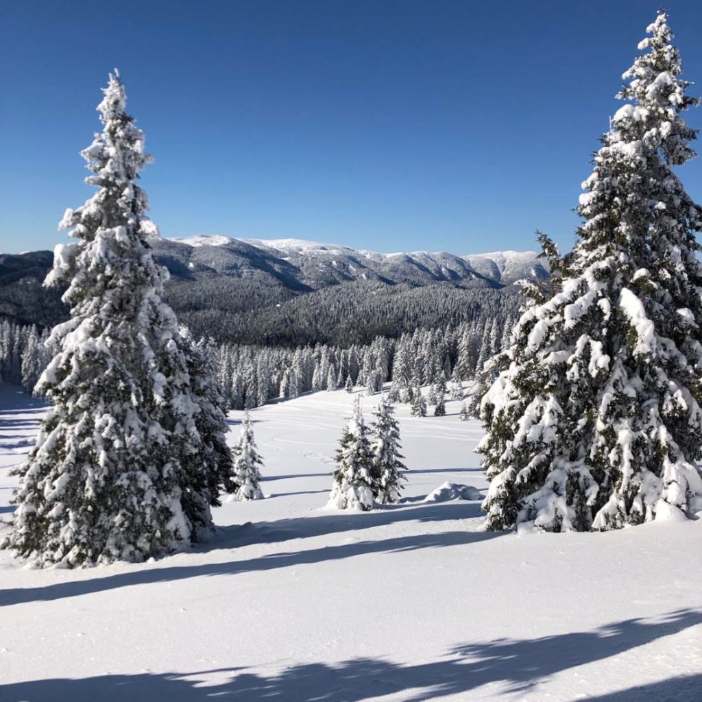 Зимно приключение