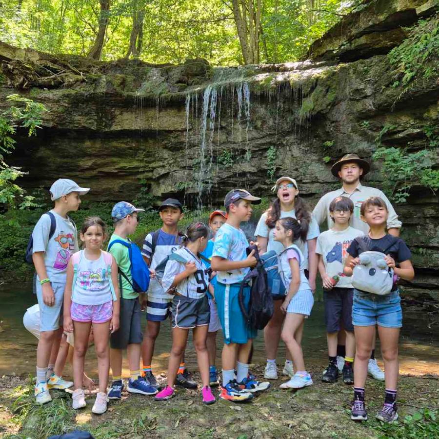 Преходи в гората