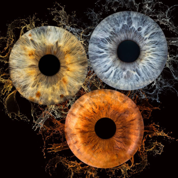 irisova-fotografiya-ruse