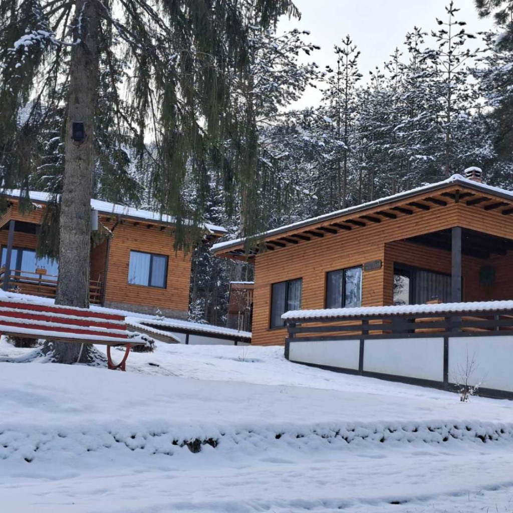 Събуди сетивата