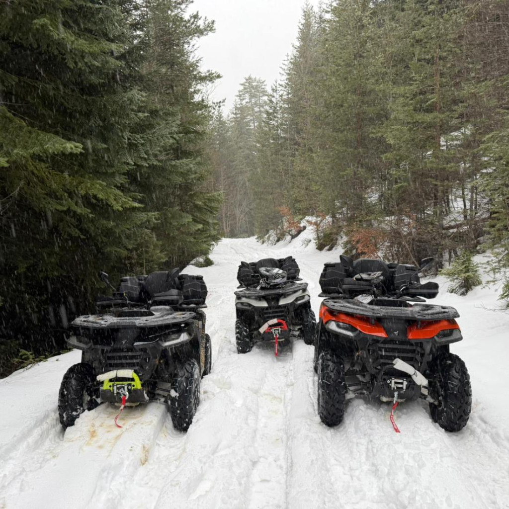 През всеки сезон