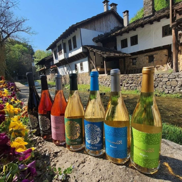 degustaciya-vino-kyrpachevo