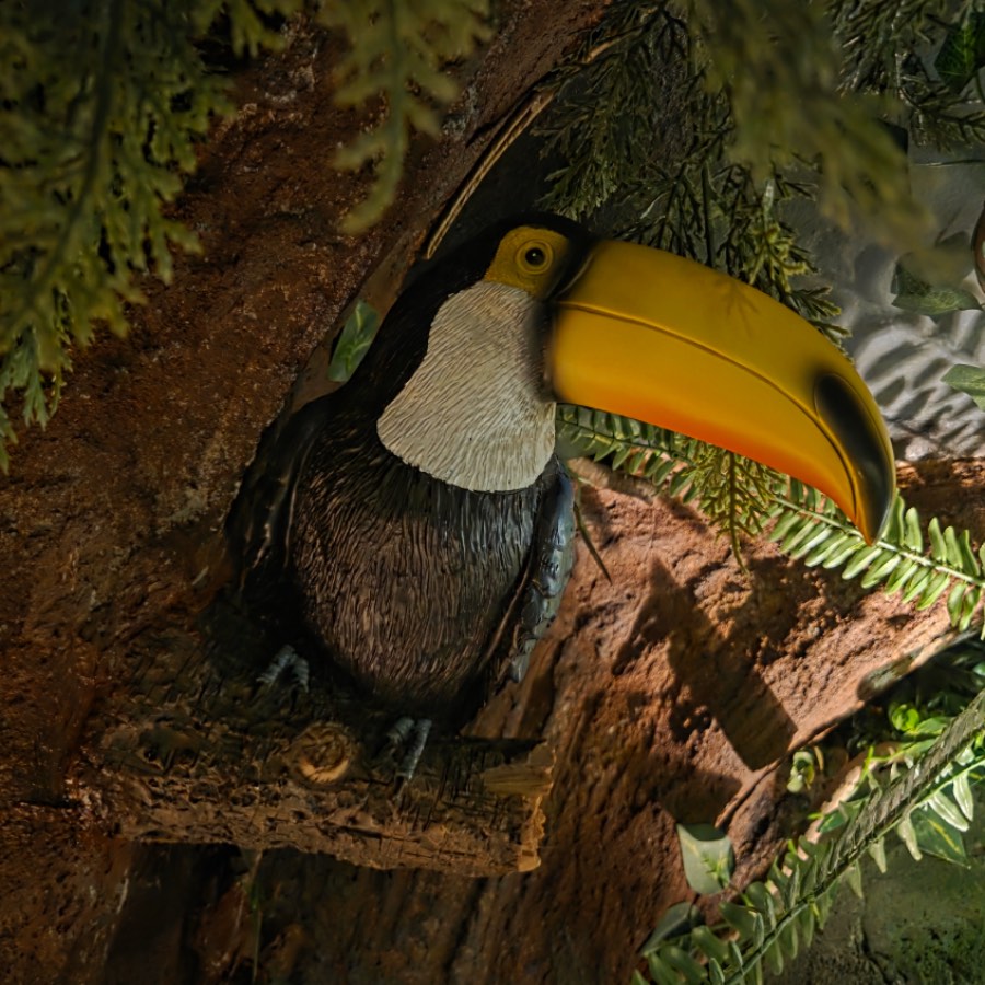 Джунглата те зове