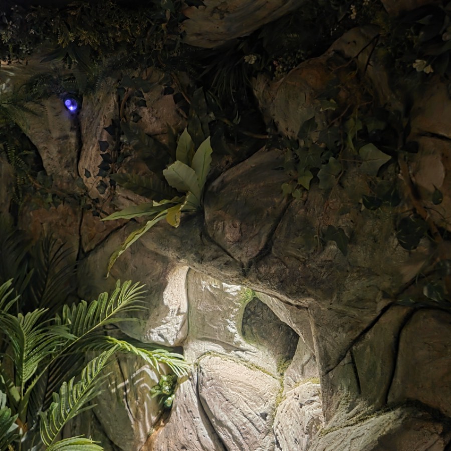 Приеми предизвикателството