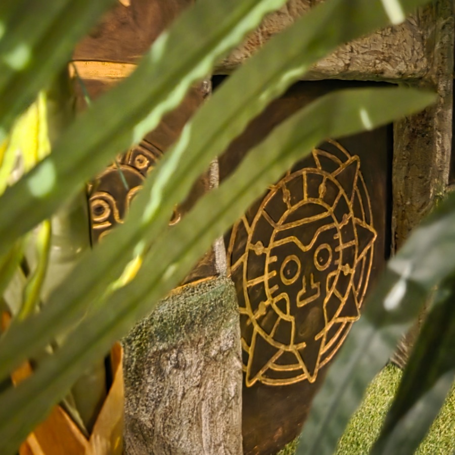 Подари незабравим празник