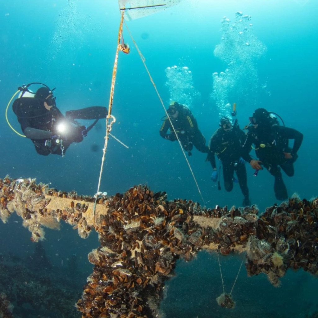 Открий нов свят