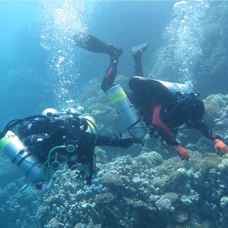 Виж морското дъно