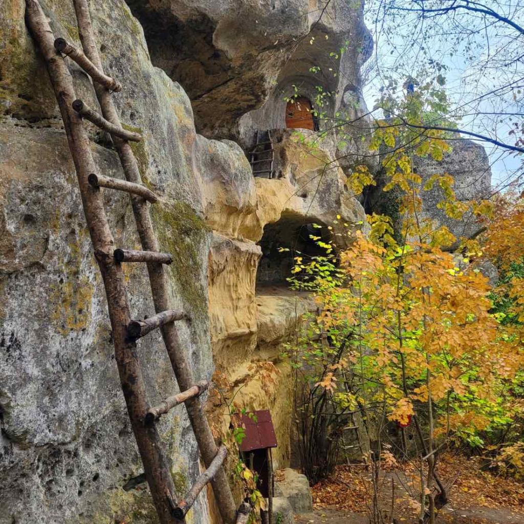 Виж красотата
