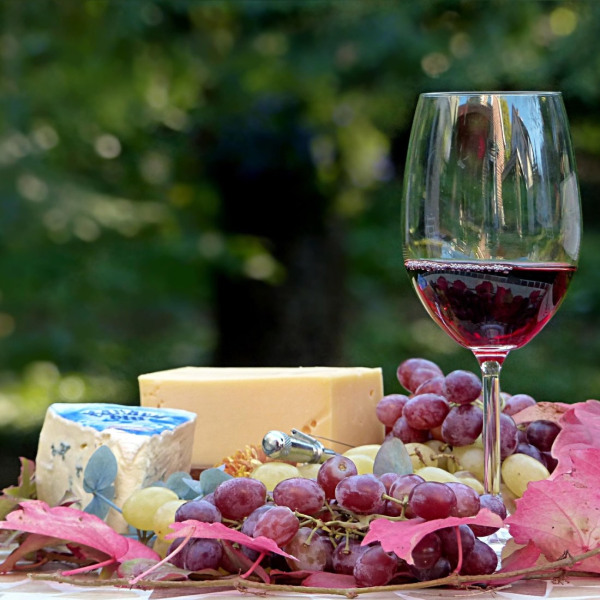 degustatziya-teroarni-sirena-vino-vinitza
